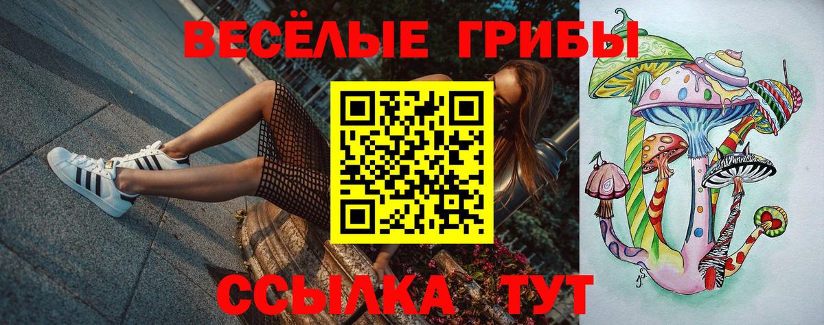 Псилоцибиновые грибы прущие грибы Киров