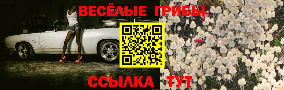Киров  Псилоцибиновые грибы Magic Shrooms  Вход с VPN 